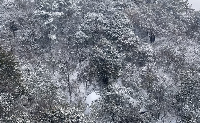 江西上饶：灵山雪景美如画