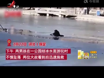 两男子救人落水 公园工作人员成功救援