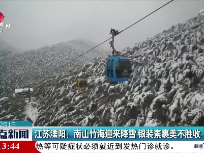 江苏漂阳：南山竹海迎来降雪 银装素裹美不胜收