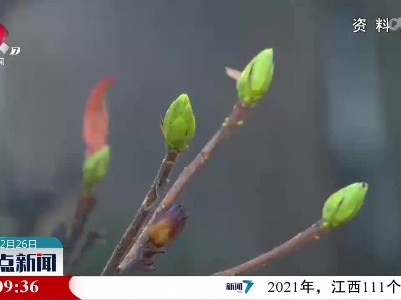 春季防过敏攻略：过敏原有哪些