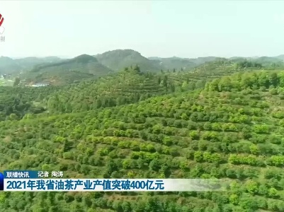 2021年我省油茶产业产值突破400亿元