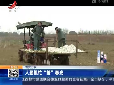 吉安万安：人勤机忙“抢”春光