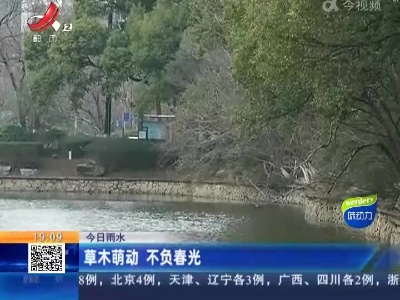 今日雨水：草木萌动 不负春光