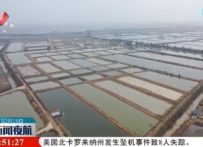 南昌市新建区：渔民“捕”转“养” 日子更红火