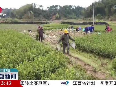 江西2021年林下经济总产值达2101.6亿元