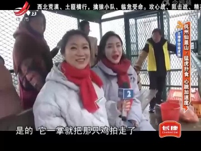地宝当家20220211