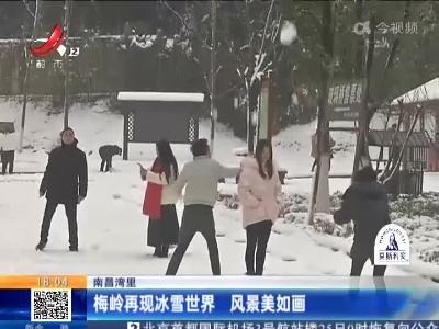 南昌湾里：梅岭再现冰雪世界 风景美如画