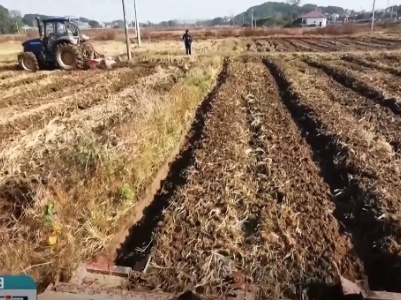 稳面积 保供应 春耕备耕正当时