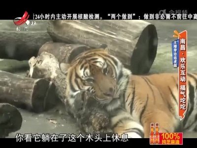 主播带您逛虎园——南昌·欢乐互动 福气坨坨