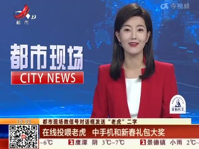 【都市现场微信号对话框发送“老虎”二字】在线投喂老虎 中手机和新春礼包大奖
