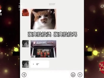 【2022新春特别节目 寅虎闹新春 不亦乐“虎”】语言的艺术