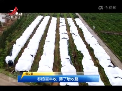 三农要闻20220211