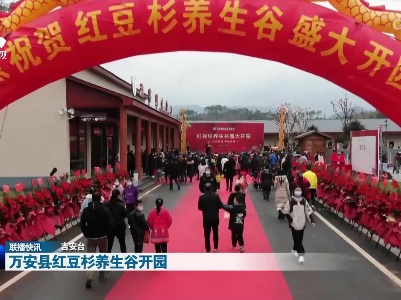 万安县红豆杉养生谷开园