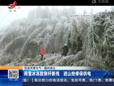 【低温雨雪天气】赣州崇义：雨雪冰冻致倒杆断线 进山抢修保供电