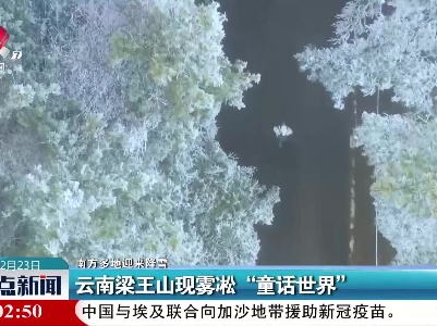 【南方多地迎来降雪】云南梁王山现雾凇“童话世界”