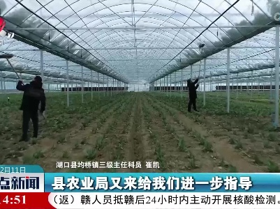湖口：农技专家指导除雪抗灾