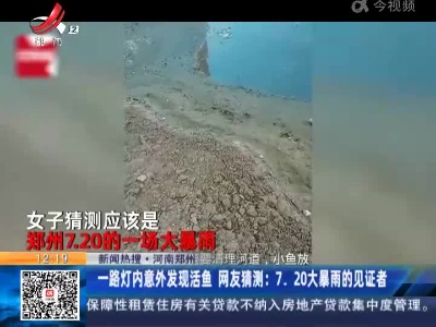【新闻热搜】河南郑州·一路灯内意外发现活鱼 网友猜测：7.20大暴雨的见证者
