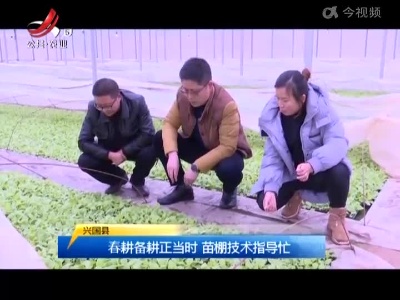 三农要闻20220209