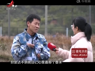 徐小兴的农庄