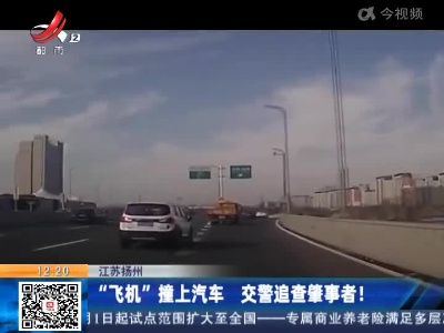 江苏扬州：“飞机”撞上汽车 交警追查肇事者！