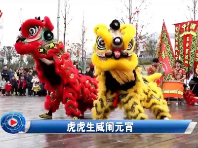 社会传真20220215 虎虎生威闹元宵
