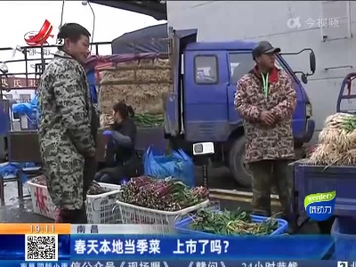 南昌：春天本地当季菜 上市了吗？