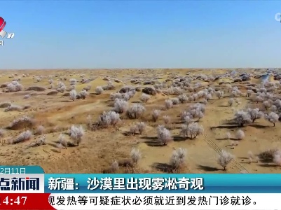 新疆：沙漠里出现雾凇奇观