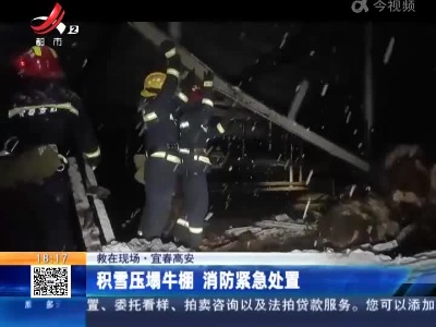 【救在现场】宜春高安：积雪压塌牛棚 消防紧急处置