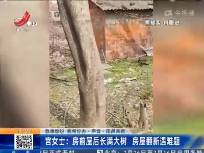 【急难愁盼 我帮你办·声音·南昌高新】宫女士：房前屋后长满大树 房屋翻新遇难题