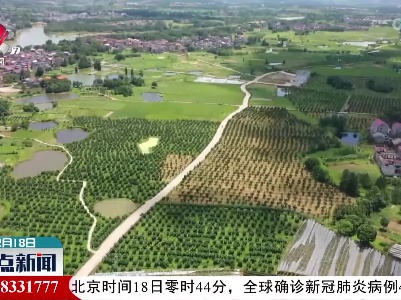 整点新闻20220218 12:00