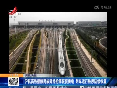 沪杭高铁接触网故障经抢修恢复供电 列车运行秩序陆续恢复