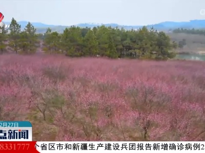 江苏溧阳：梅花盛开迎风笑 郊游赏花正当时