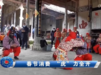 社会传真20220210 春节消费 “虎”力全开