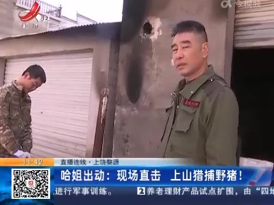 【直播连线】上饶婺源·哈姐出动：现场直击 上山猎捕野猪！