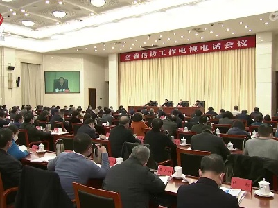 全省信访工作电视电话会议
