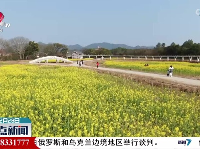 会昌：油菜花开醉游人