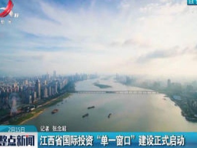 江西省国际投资“单一窗口”建设正式启动