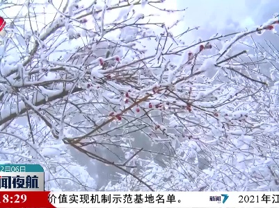 庐山：花径绽梅蕊 雪凝一段香