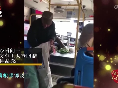 【2022新春特别节目 寅虎闹新春 不亦乐“虎”】陌生的温暖