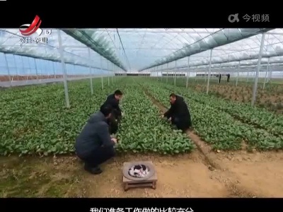 三农要闻20220213