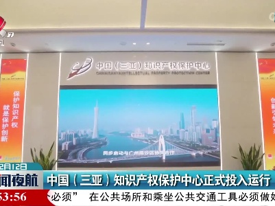 中国（三亚）知识产权保护中心正式投入运行