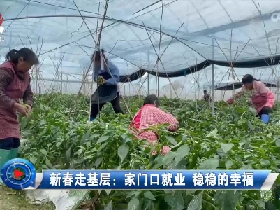 社会传真20220217 新春走基层：家门口就业 稳稳的幸福