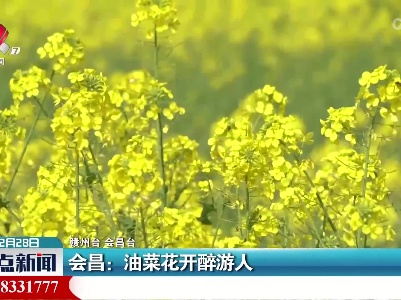 整点新闻20220228 14:00