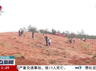 新春义务植树 助力碳达峰碳中和