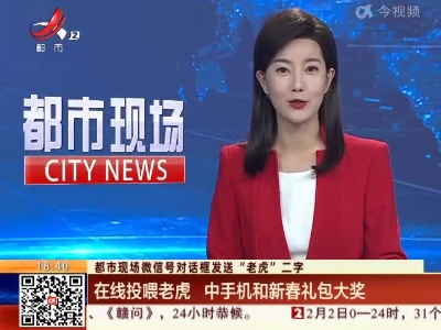 【都市现场微信号对话框发送“老虎”二字】在线投喂老虎 中手机和新春礼包大奖