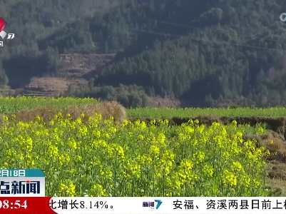 婺源发布2022年油菜花花期预报