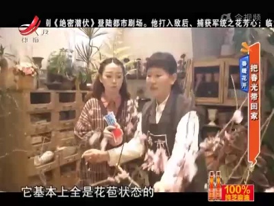 春暖花开——把春光带回家