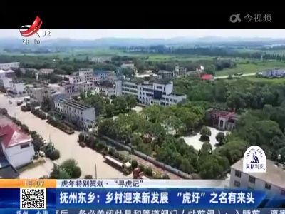 【虎年特别策划·“寻虎记”】抚州东乡：乡村迎来新发展 “虎圩”之名有来头