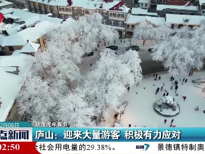 【欢度虎年春节】庐山：迎来大量游客 积极有力应对