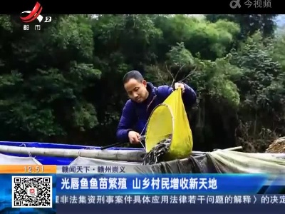 【赣闻天下】赣州崇义：光唇鱼鱼苗繁殖 山乡村民增收新天地